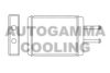 AUTOGAMMA 105279 Heat Exchanger, interior heating